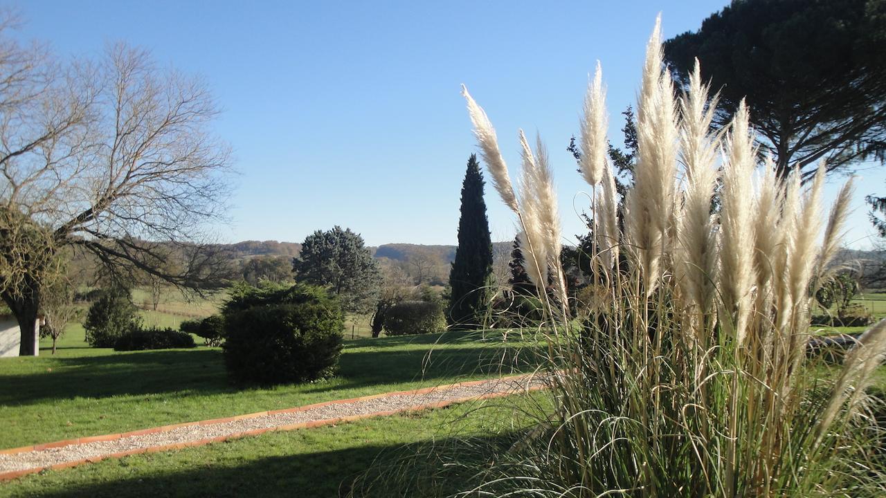 Domaine De Poudos Bed & Breakfast Auterive  Exterior photo