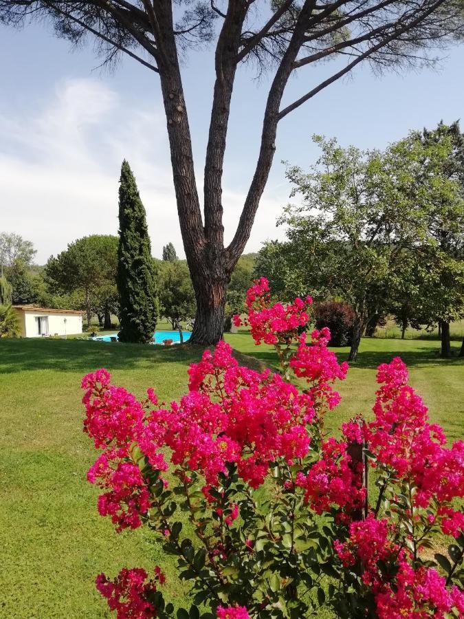 Domaine De Poudos Bed & Breakfast Auterive  Exterior photo